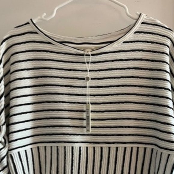 Max Studio Size M - Picture 4 of 8